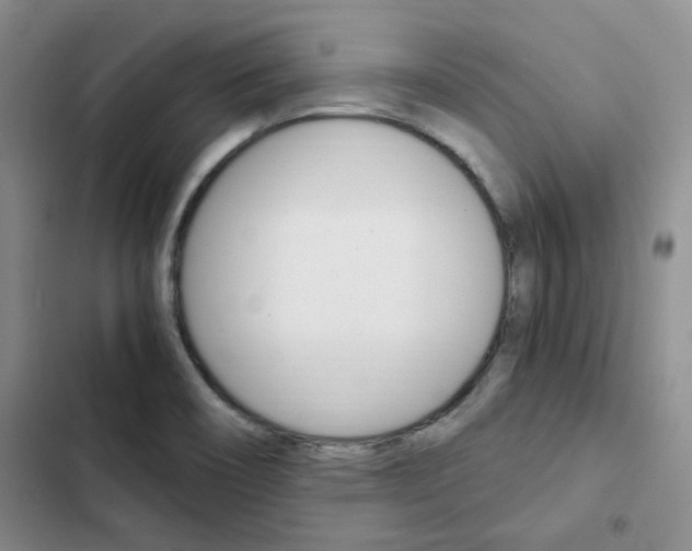 X0000103161466200808221140