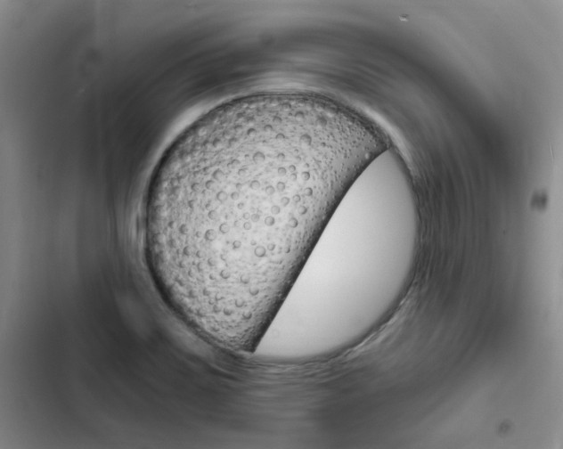 X0000103161467200808221140