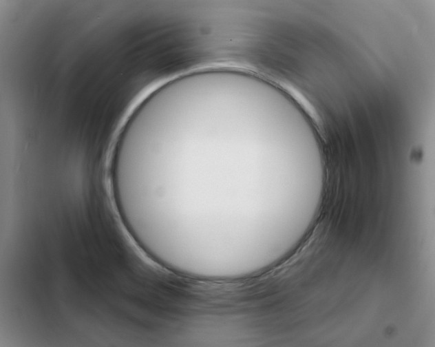 X0000103161468200808221140