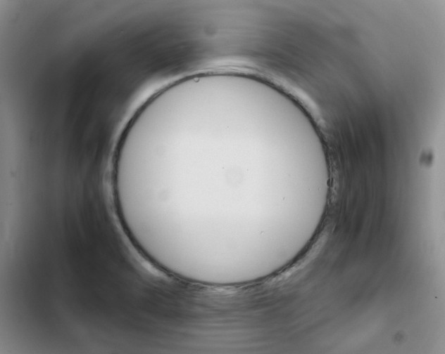 X0000103161470200808221140