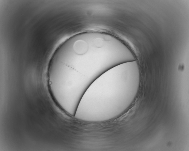 X0000103161471200808221140