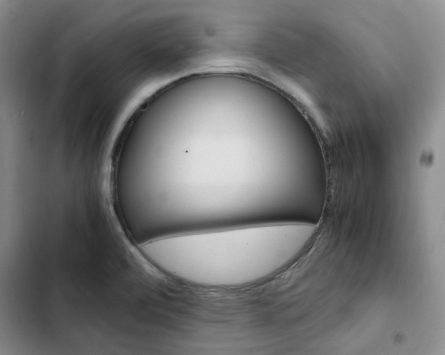 X0000103161472200808221140