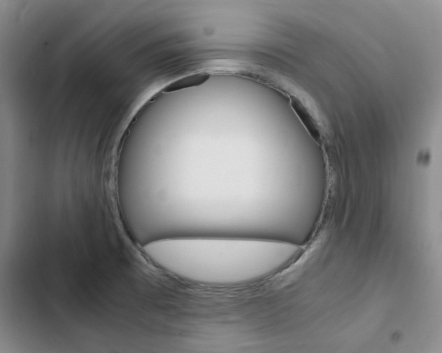 X0000103161473200808221140