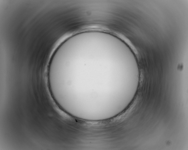 X0000103161474200808221140