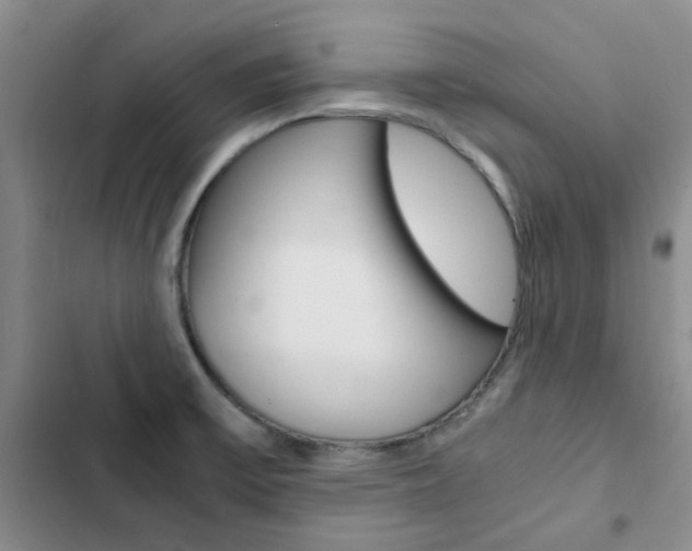 X0000103161475200808221140