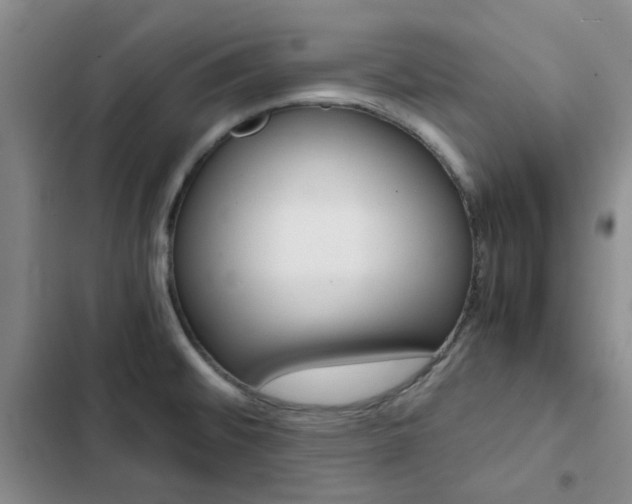 X0000103161476200808221140