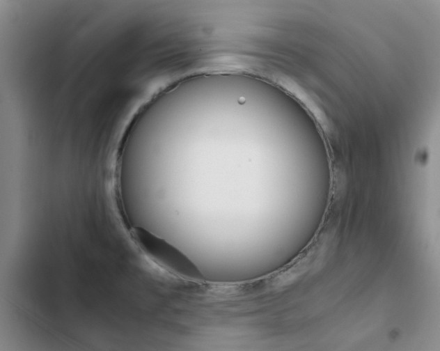 X0000103161477200808221140