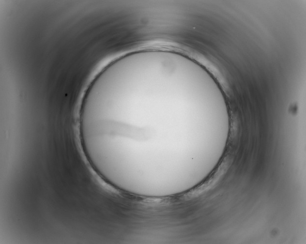 X0000103161478200808221140