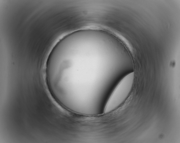 X0000103161479200808221140