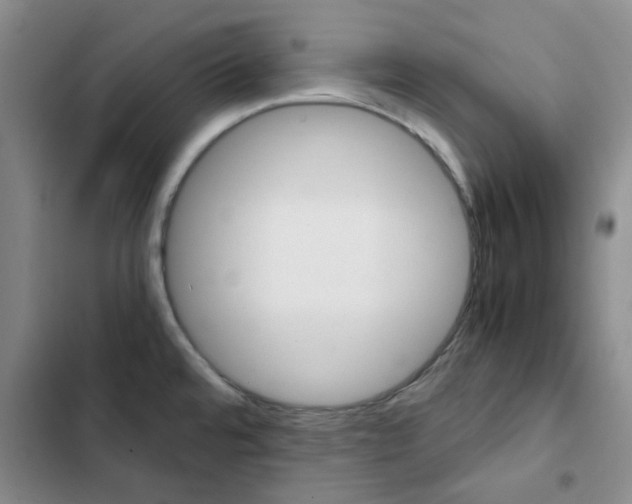 X0000103161480200808221140