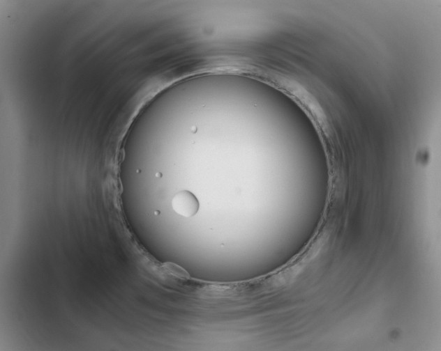 X0000103161481200808221140