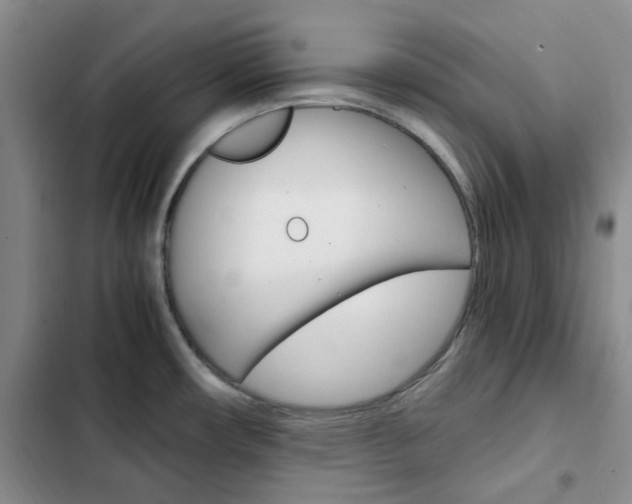 X0000103161482200808221140
