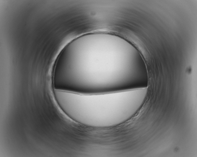 X0000103161483200808221140