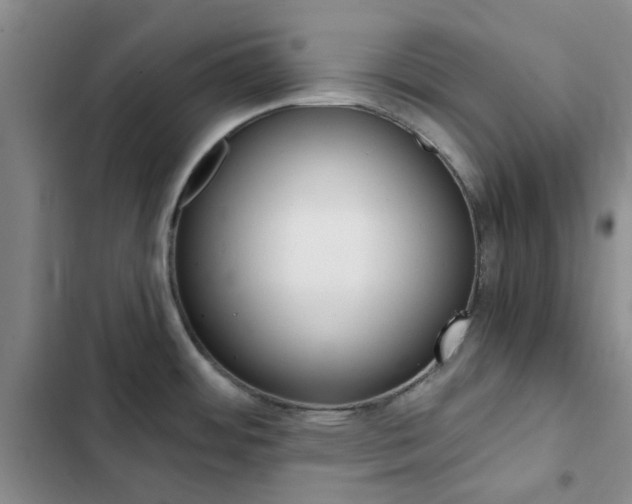 X0000103161484200808221140