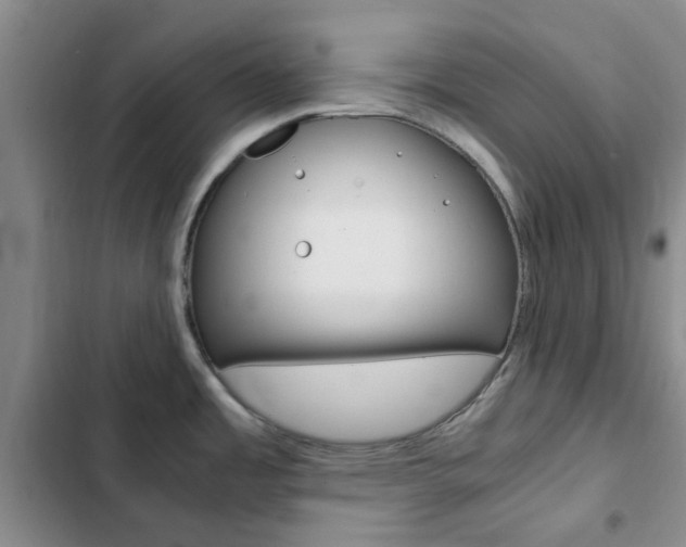 X0000103161485200808221140
