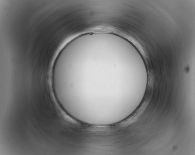 X0000103161486200808221140