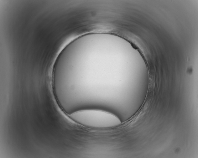 X0000103161487200808221140