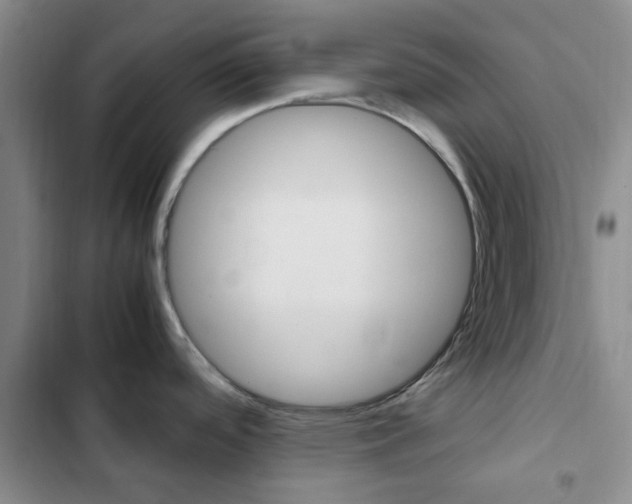 X0000103161488200808221140
