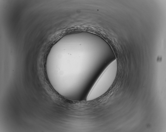 X0000103161489200808221139