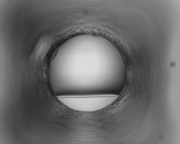 X0000103161490200808221139