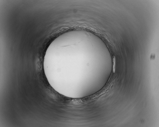 X0000103161491200808221139