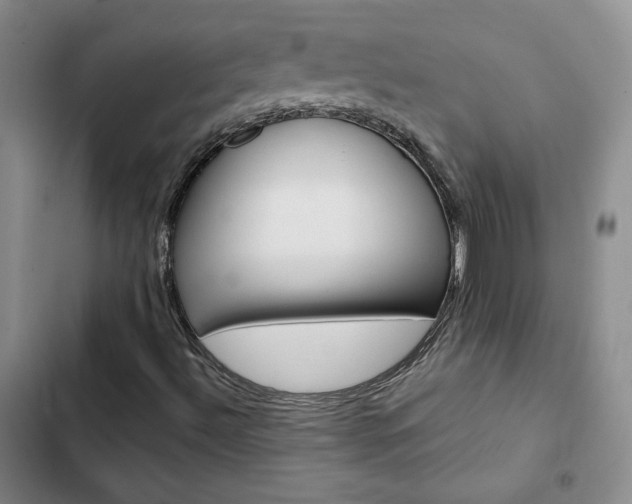 X0000103161492200808221139
