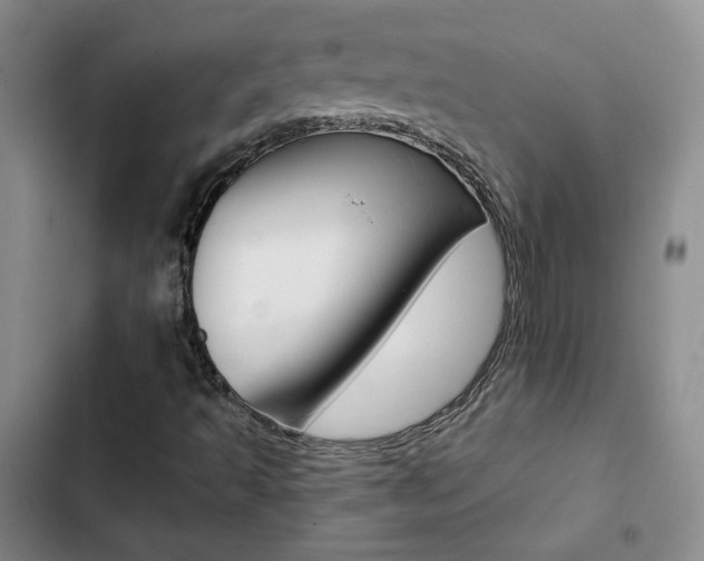X0000103161493200808221139
