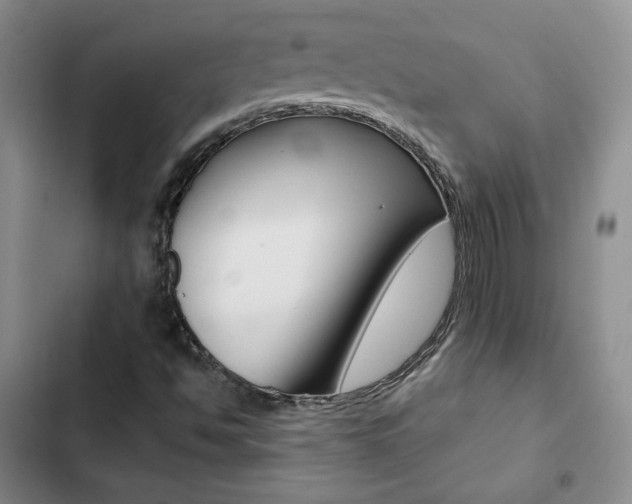 X0000103161494200808221139