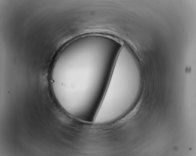 X0000103161497200808221139