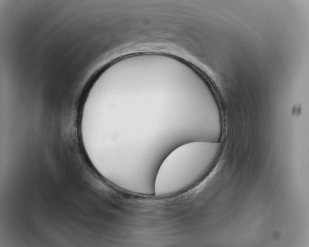 X0000103161498200808221139