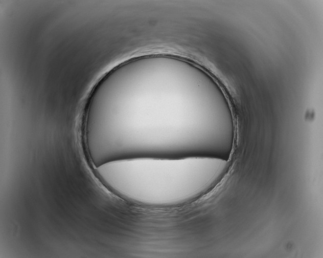 X0000103161500200808221139