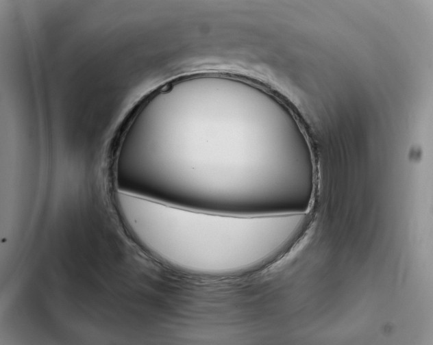 X0000103161501200808221139