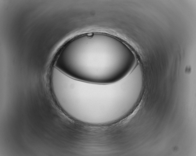 X0000103161502200808221139