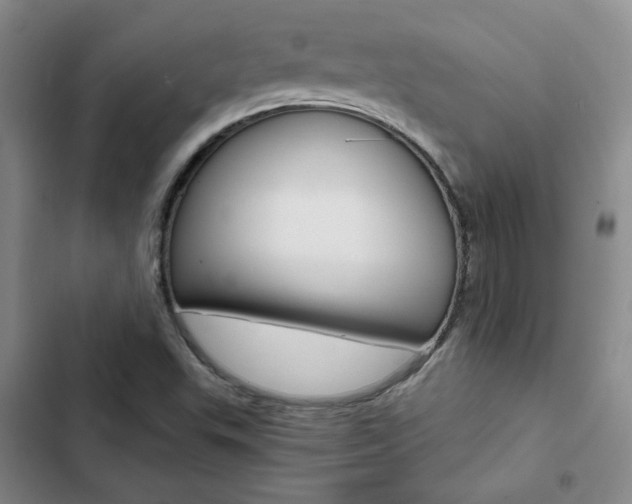X0000103161503200808221139