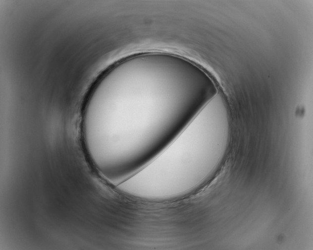 X0000103161507200808221139