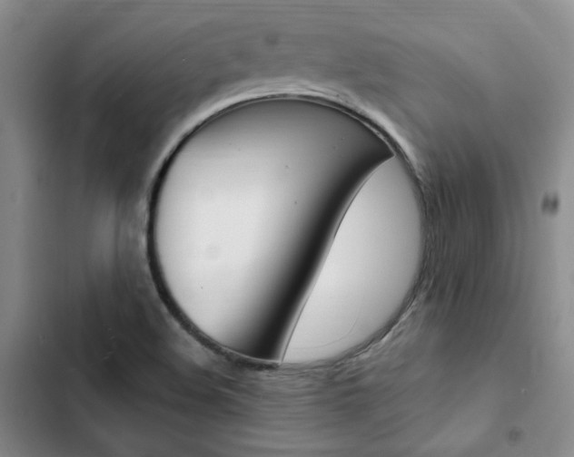 X0000103161508200808221140