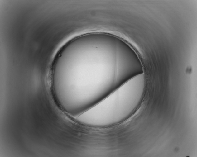 X0000103161510200808221140