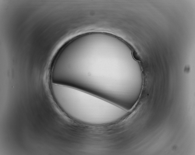 X0000103161511200808221140