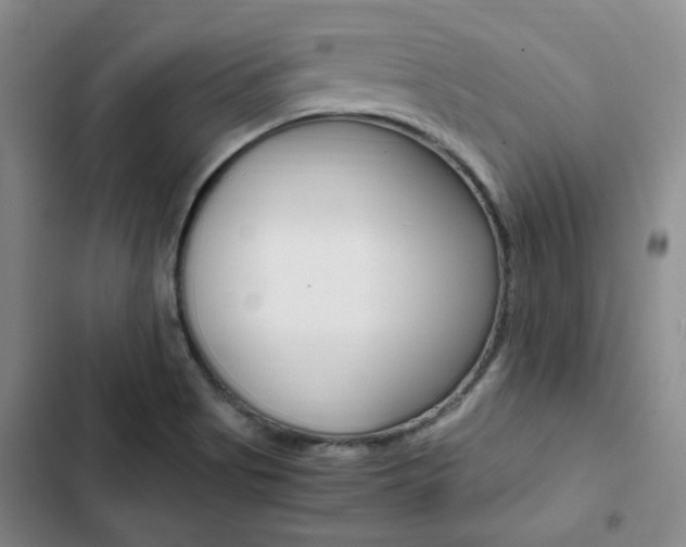 X0000103161513200808221140