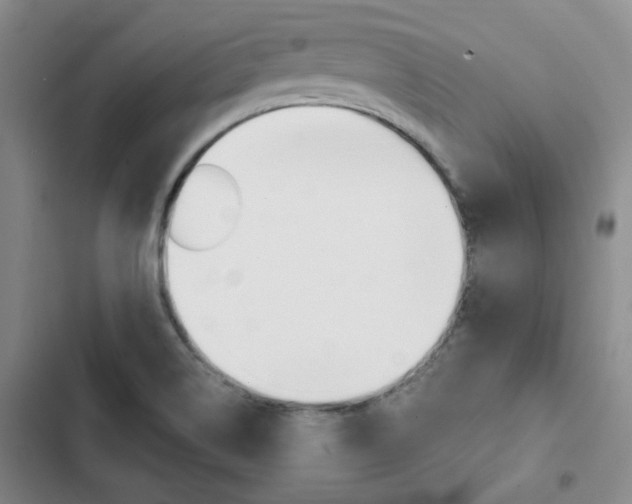 X0000103161514200808221140