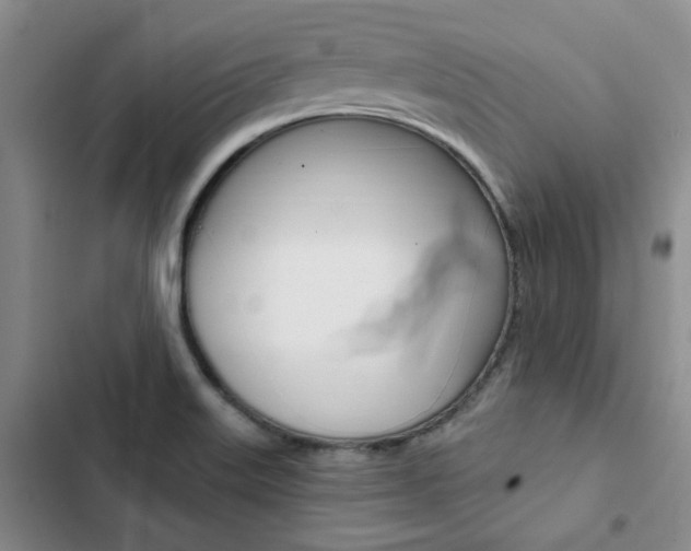 X0000103161515200808221140