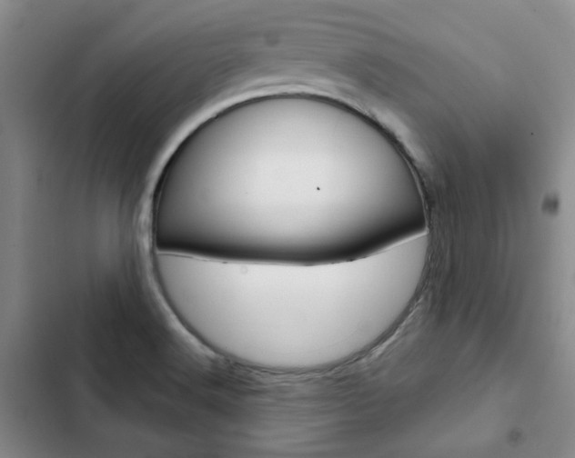 X0000103161516200808221140