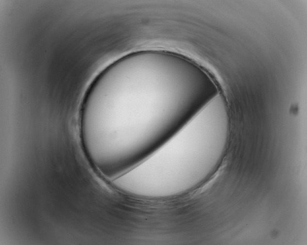 X0000103161517200808221140