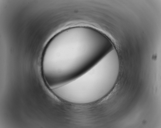 X0000103161518200808221140