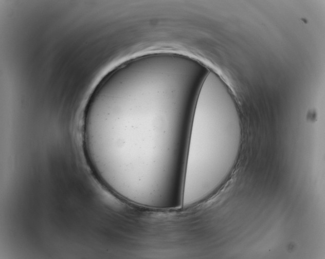 X0000103161519200808221140
