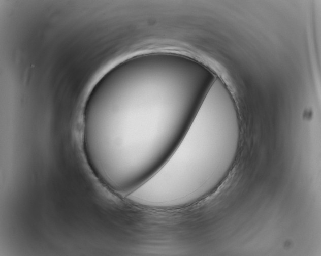 X0000103161520200808221140