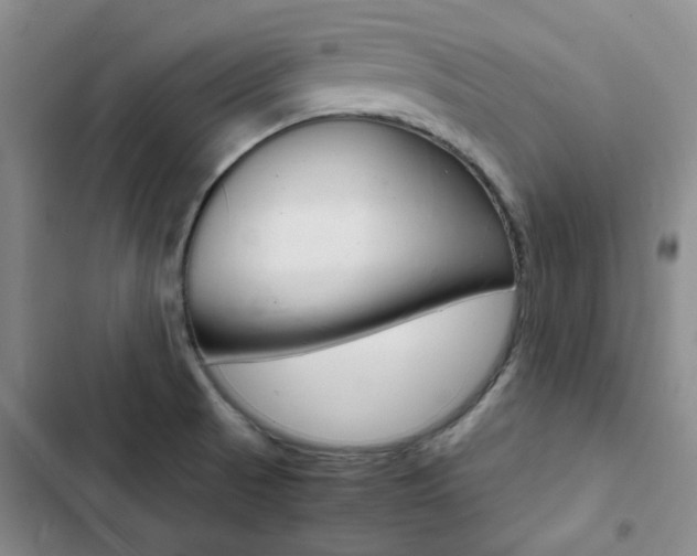 X0000103161521200808221140