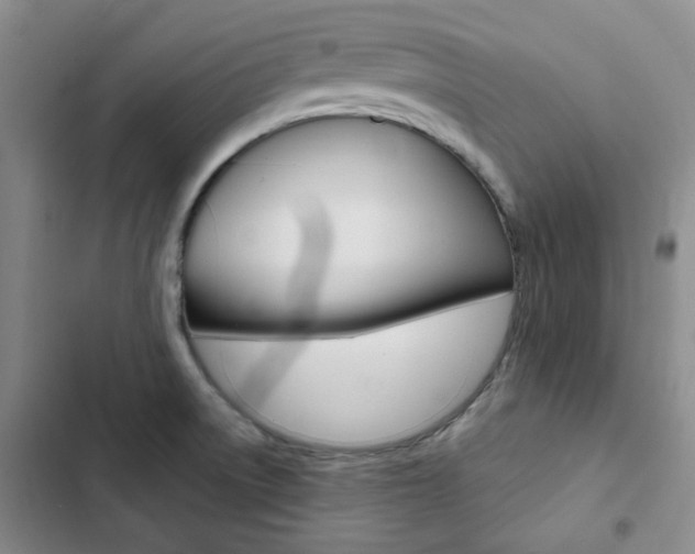 X0000103161522200808221140