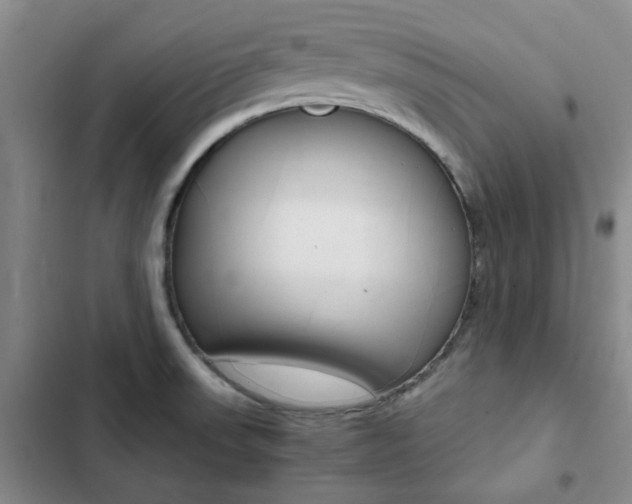 X0000103161523200808221140