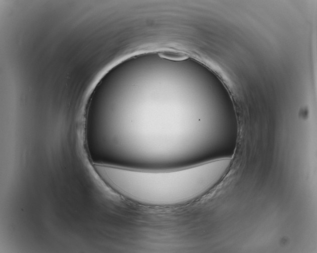 X0000103161524200808221140